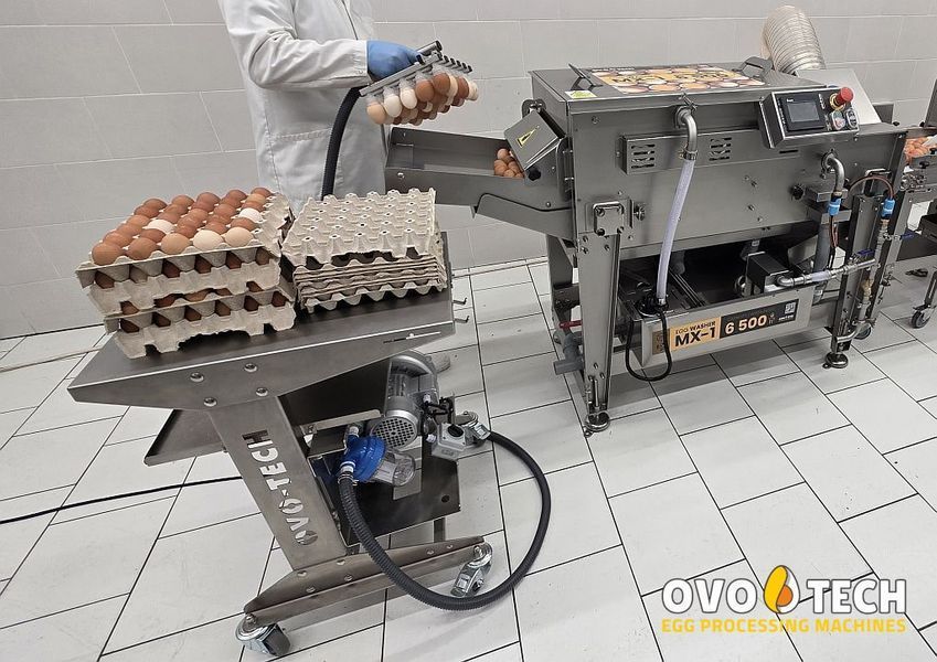 MX-1 Tunnel Egg Washer
