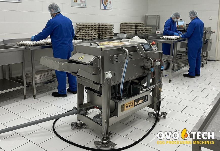MX-1 Tunnel Egg Washer